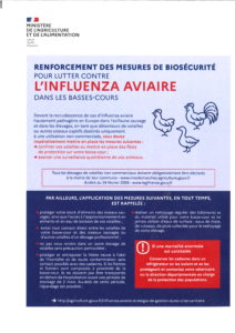 INFORMATION GRIPPE AVIAIRE